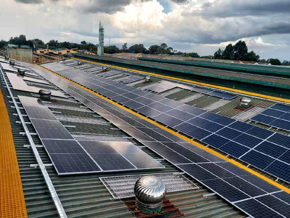 DELMONTE KENYA - Industrial Solar Project
